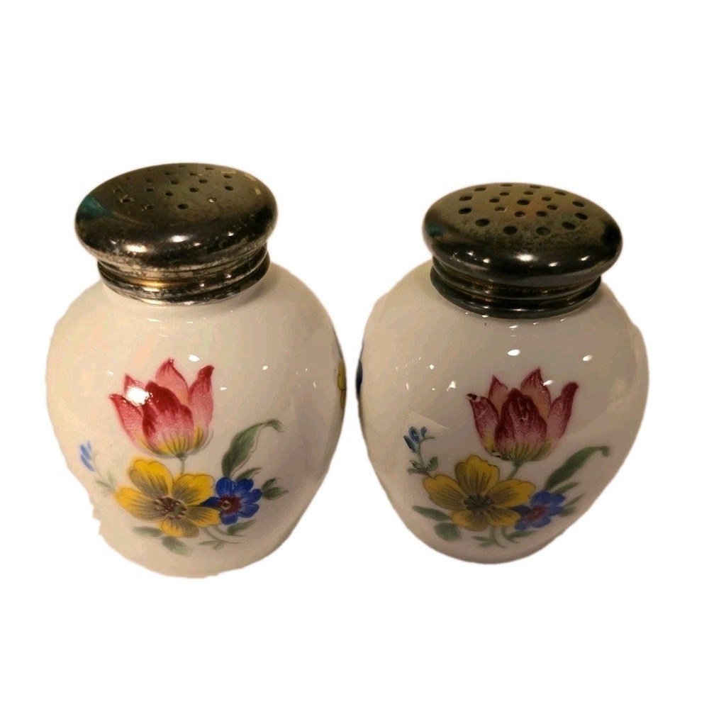 Vintage Thomas Germany Porcelain Salt Pepper Shakers 835 Silver Tops Floral